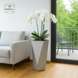 Modern Geometric pot with auto watering system